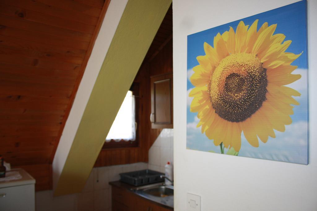 Vukovic Apartment Poljanak Kültér fotó